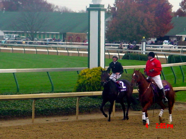 2006 Breeder's Cup Distaff Winner Oujia Board