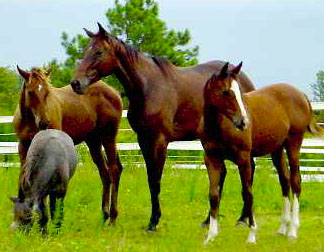 before Hurricane Isabel