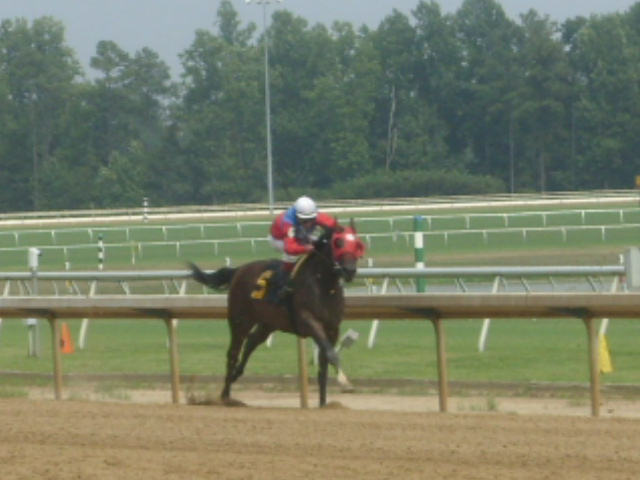 Click here to see the graduates of Perfect Peace Farm