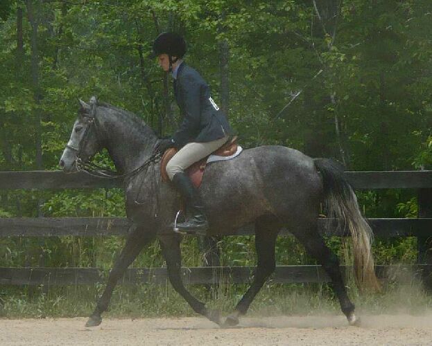 Perfect Peace Whata Blessing show trot