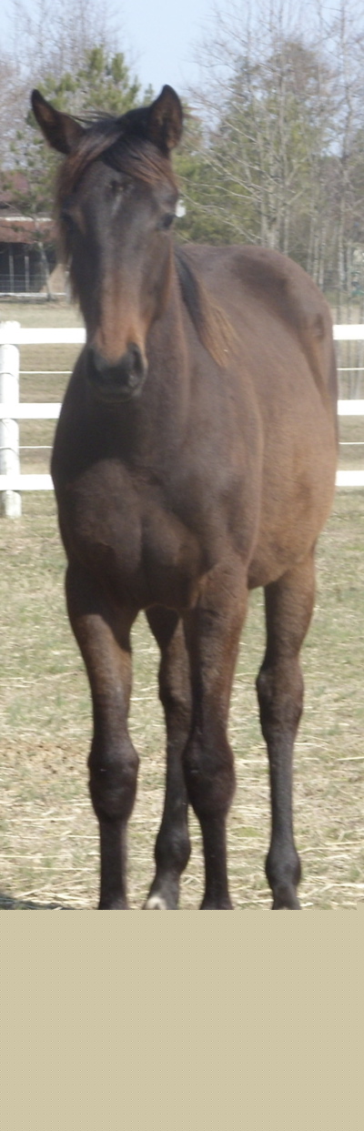 Glory Standing in the Field