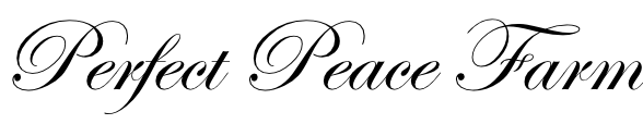 Welcome to Perfect Peace Farm